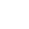 euro